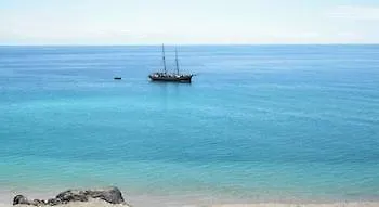 Appartement Palm Garden 1