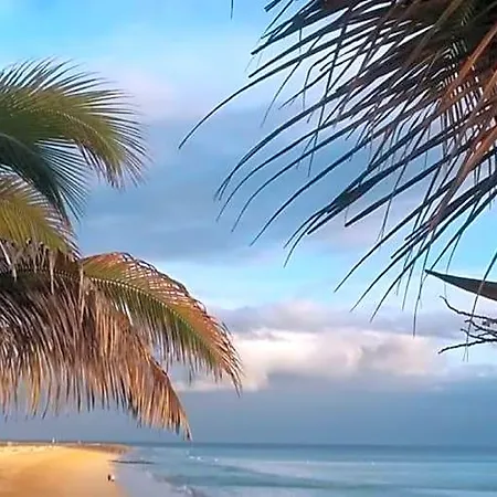 Palm Garden 1 * Morro Jable (Fuerteventura)