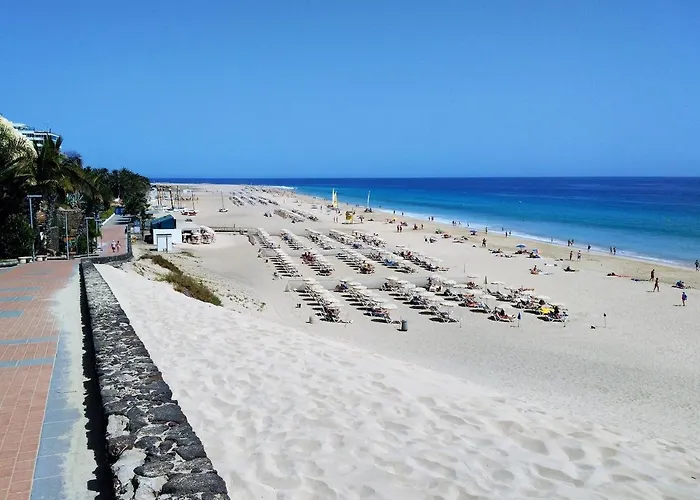 Palm Garden 1 Apartament