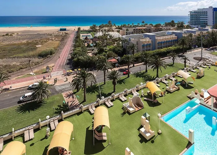 Apartament Palm Garden 1